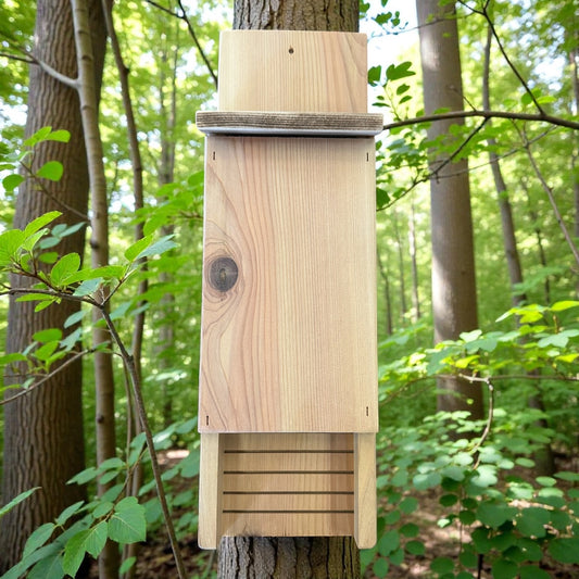 Single Chamber Cedar Bat House